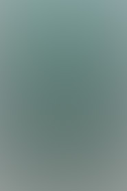 Novel MIL cover photo