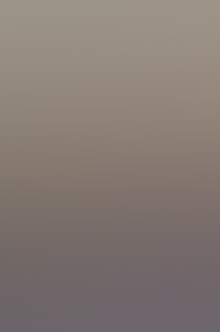 sliver ufo