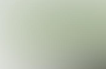 Petition Zabel Dolan