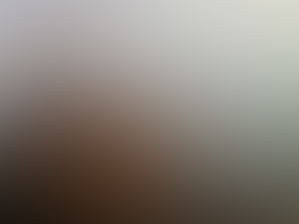 liver-building-object.jpg
