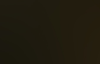 One of the witnesses snapped this cell phone image before the lights moved slowly away to the east.