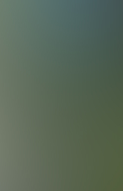 forest-creek.jpg