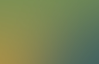 The witnesses are hoping there were additional sighting reports to the lights they saw over a nearby mountain range on July 1, 2012.