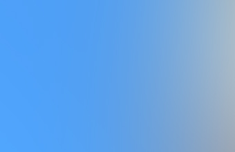 The photographer noticed something moving at a rather high speed through a shot of a church and is unable to identify it. This still shot was pulled from the short piece of video provided by the witness.