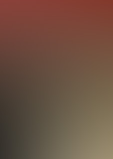 No fui ABD.jpg