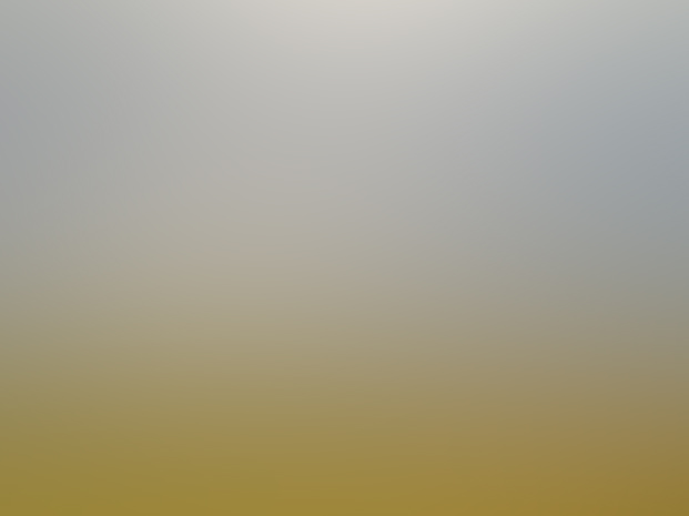 sun-field.jpg