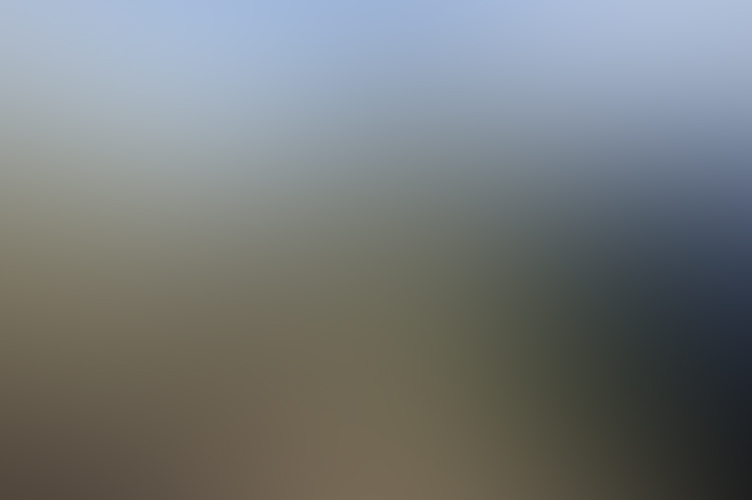 Machu Picchu- Home of the Kings 1 lama-mp.jpg