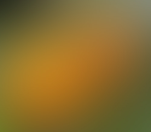 pumpkins.jpg
