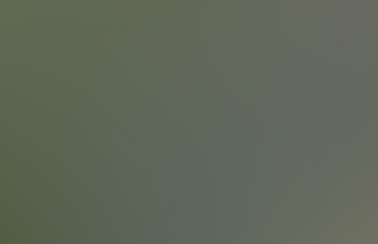 The witness was driving southbound along I-95 near 495 when four cigar-shaped objects were seen hovering nearby in the Boothwyn, PA, area near the Pennsylvania-Delaware border.