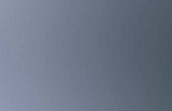 Does this look like Canada Geese to you?