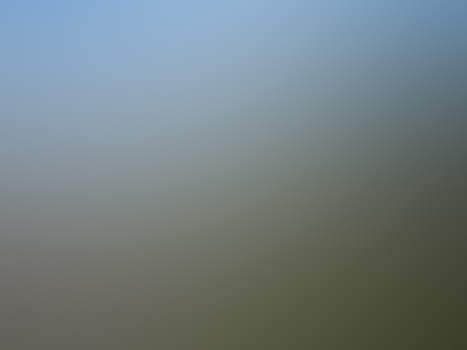westland.jpg