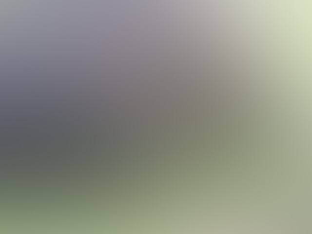 cattle-mutilation-1.jpg