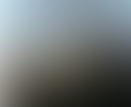 April fish and April fools… 1 forest lights