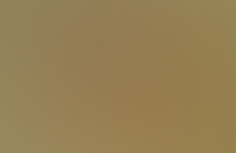 UFO sighted off Florida coast.