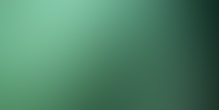 redwoods.jpg
