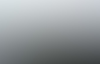 Artist's conception of sighting.