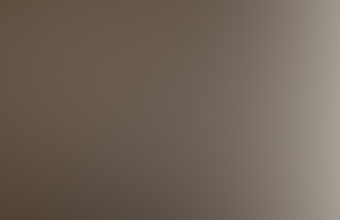 The father of our country.