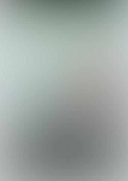 attf_cover.jpg