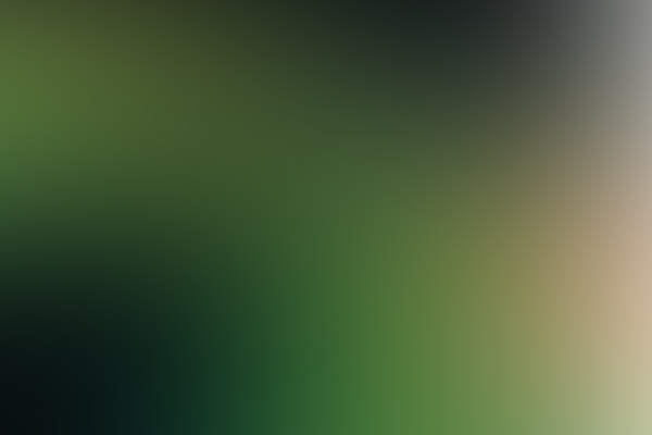 entanglement.jpg