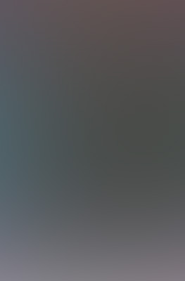 fneo.jpg