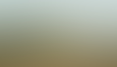 nuevo-19_546__F56T.jpg