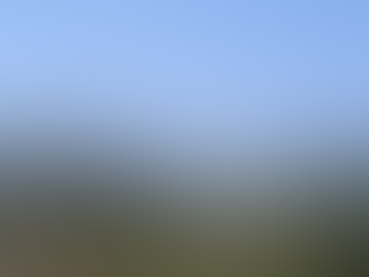 ufo-LA-TOUR-D'AUVERGNE.jpg