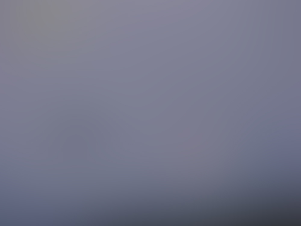 noirmoutier-ufo.jpg