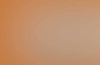 NYSKIES 21st century NYS sightings 2000 201314