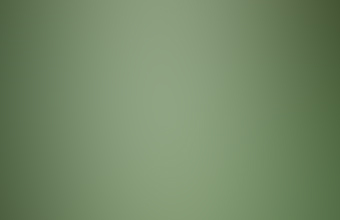 capture entity closeup