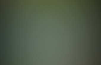 Humanoid Case Photo 2014 Argentina.jpg