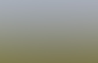 The Telegraph has established the aircraft was an A320, with the registration G-KKAZ, which was made in 2003 Photo: Alamy