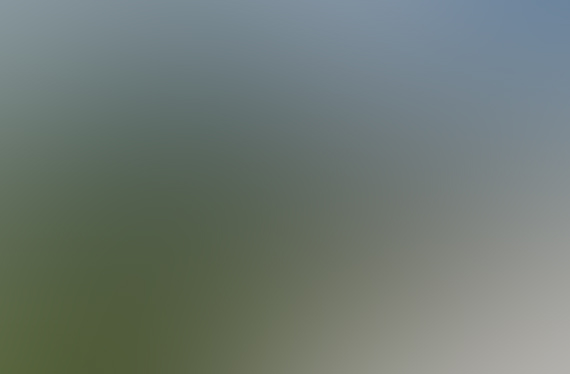 2014-05-03-flsunrise570-thumb.jpg