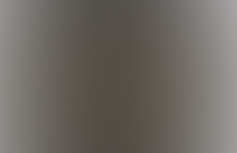 The mask disappeared from the Sts’ailes First Nation in 1939.