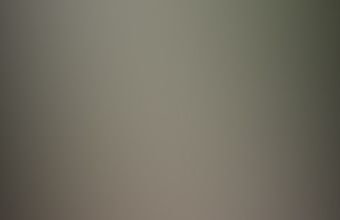 Honduran Fish Composite.jpg