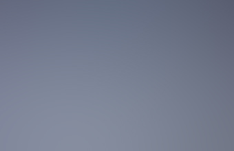 The Gargoyle of Notre Denver