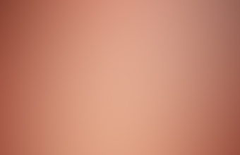 008-370x340.jpg