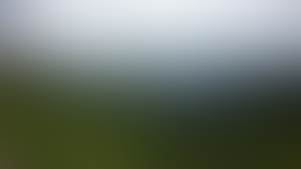 SMOKY MOUNTAIN UFO 9 photo1 lg