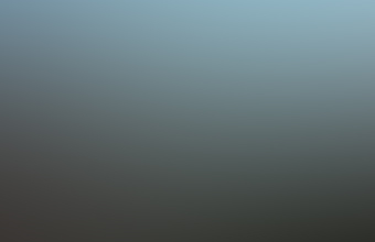 60310_submitter_file2__1001141643-768x1024.jpg