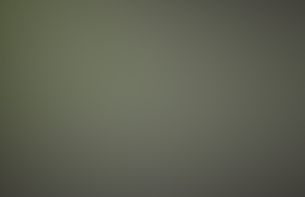 gull_winshield.jpg