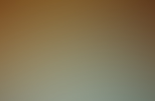 10736017_866852743354680_1043800746_n_zps5c30cbdc.jpg