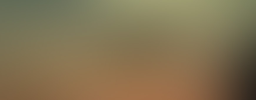 UFO-870x342.jpg