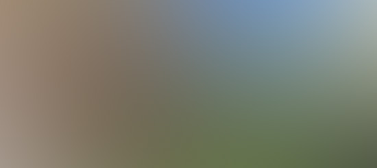 may-day-flowers.jpg