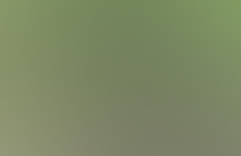 thing-in-the-woods-lg.jpg