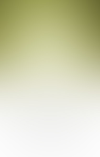 toward-the-light.jpg