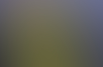 81Z9A0W2wAL